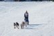Jeremiah Klejka, winner of the 2011 Jr. Iditarod